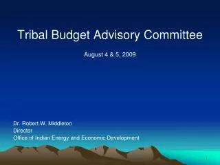 Tribal Budget Advisory Committee August 4 &amp; 5, 2009 Dr. Robert W. Middleton Director Office of Indian Energy and Eco