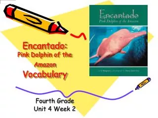 Encantado: Pink Dolphin of the Amazon Vocabulary