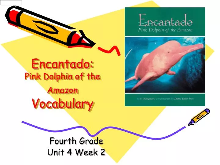 encantado pink dolphin of the amazon vocabulary