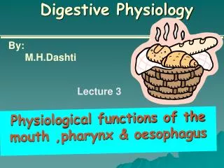 Digestive Physiology