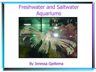 Freshwater and Saltwater Aquariums