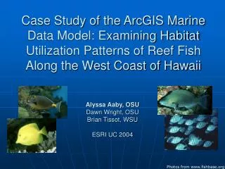 Case Study of the ArcGIS Marine Data Model: Examining Habitat Utilization Patterns of Reef Fish Along the West Coast of