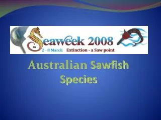 Australian Sawfish Species