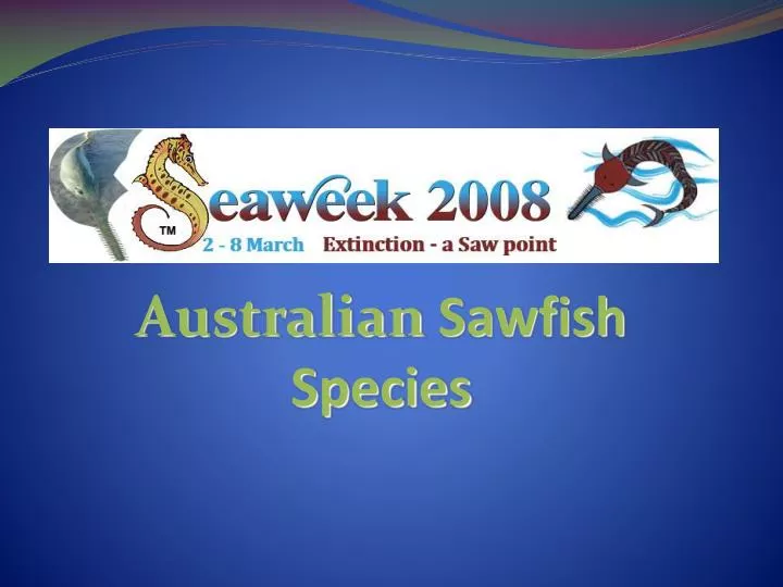 australian sawfish species