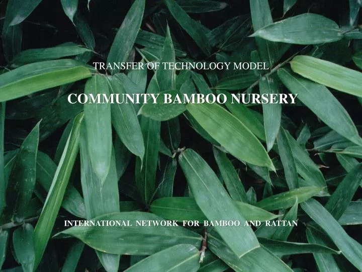 transfer of technology model community bamboo nursery