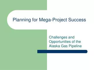 Planning for Mega-Project Success