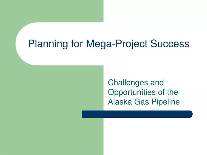 planning for mega project success
