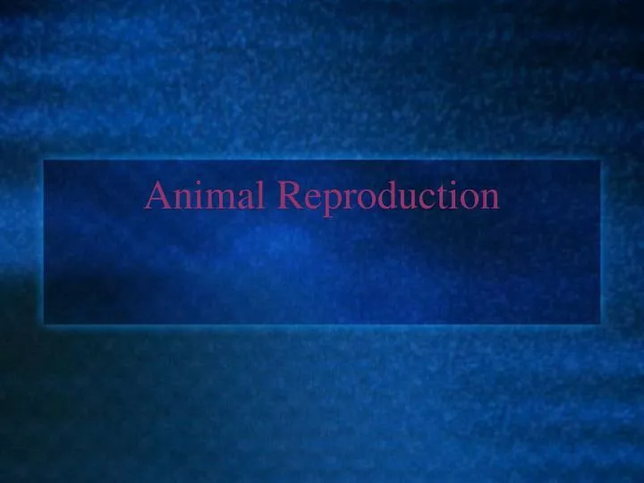 PPT - Animal Reproduction PowerPoint Presentation, free download - ID ...