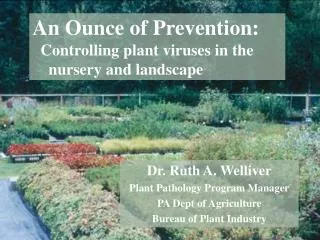 An Ounce of Prevention: Controlling plant viruses in the nursery and landscape
