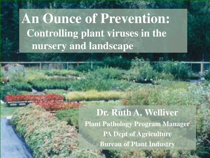 an ounce of prevention controlling plant viruses in the nursery and landscape