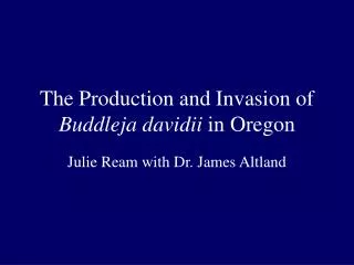 The Production and Invasion of Buddleja davidii in Oregon
