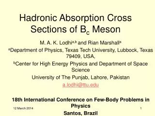 Hadronic Absorption Cross Sections of B c Meson