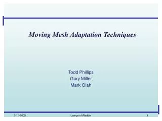 Moving Mesh Adaptation Techniques