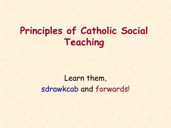 principles of catholic social teaching