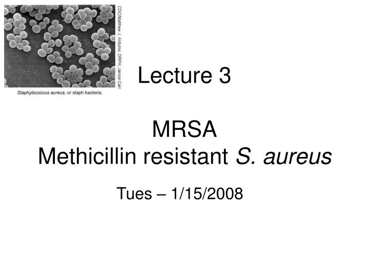 lecture 3 mrsa methicillin resistant s aureus