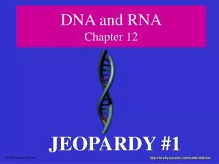 DNA and RNA Chapter 12