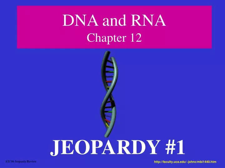 dna and rna chapter 12