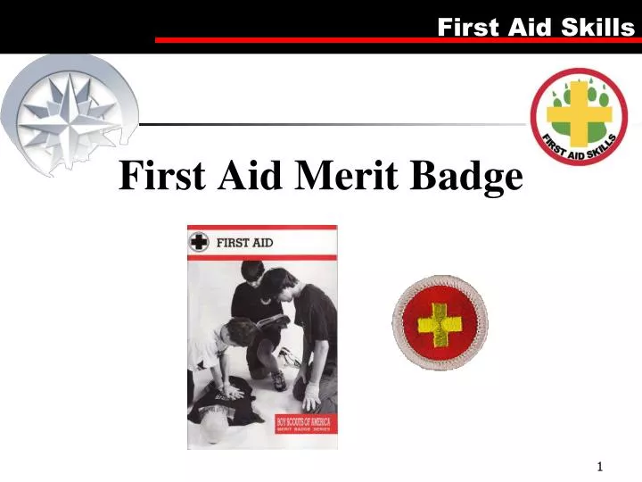 Chess Merit Badge. - ppt download