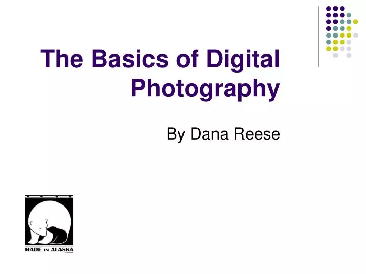 the basics of digital photography