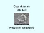 Clay Minerals and Soil