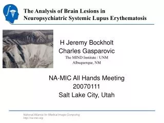 The Analysis of Brain Lesions in Neuropsychiatric Systemic Lupus Erythematosis