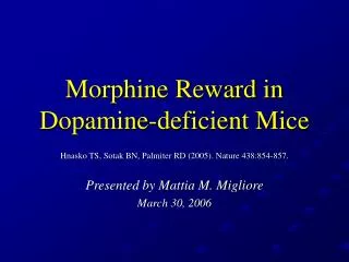 Morphine Reward in Dopamine-deficient Mice