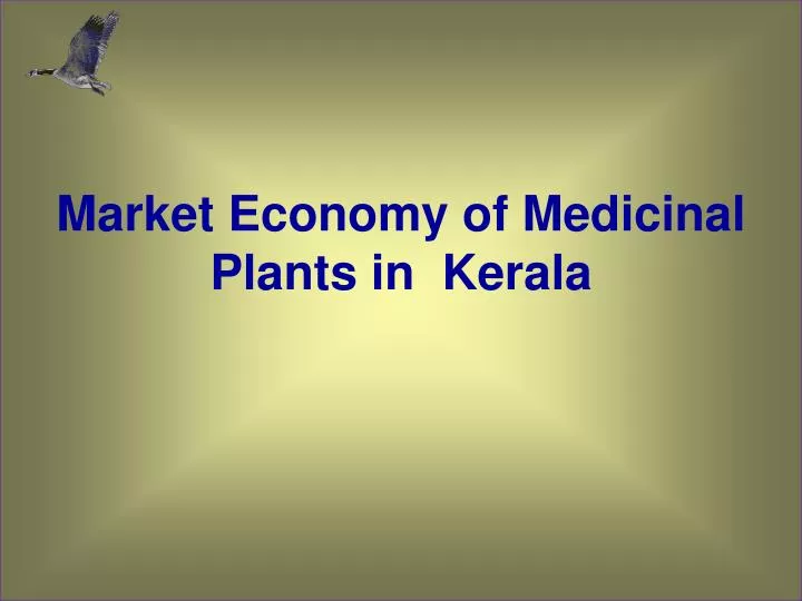 market economy of medicinal plants in kerala