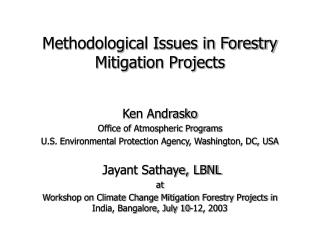 Methodological Issues in Forestry Mitigation Projects