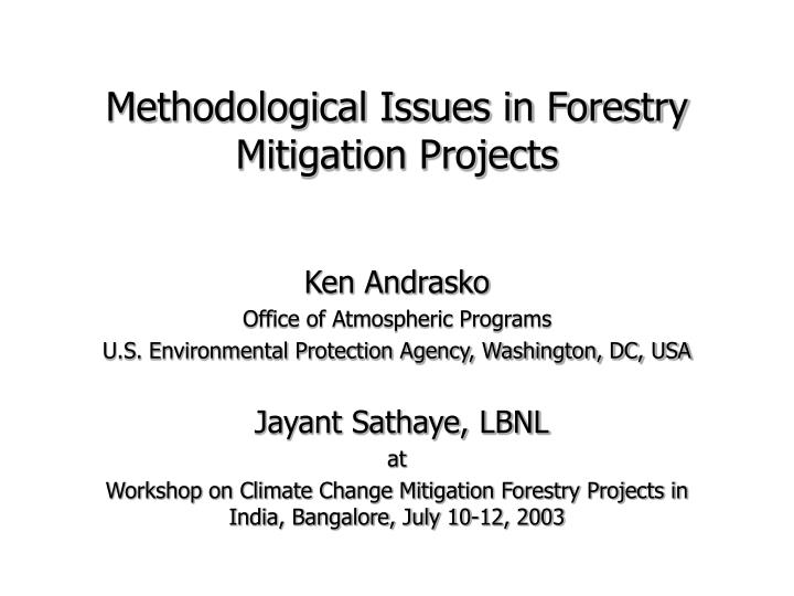 methodological issues in forestry mitigation projects