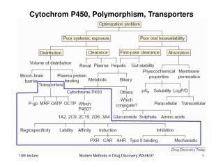 Cytochrom P450, Polymorphism, Transporters