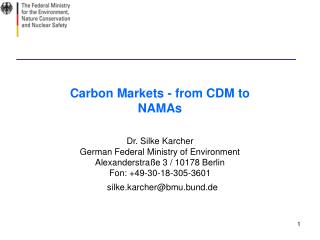 Carbon Markets - from CDM to NAMAs