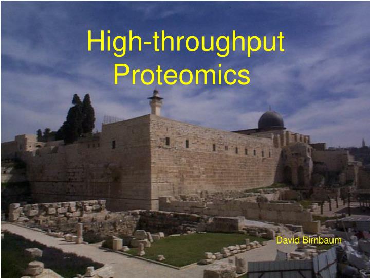 high throughput proteomics