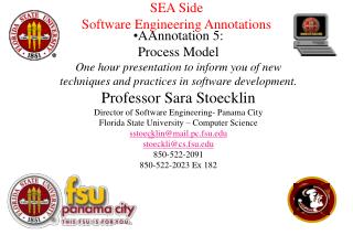 SEA Side Software Engineering Annotations
