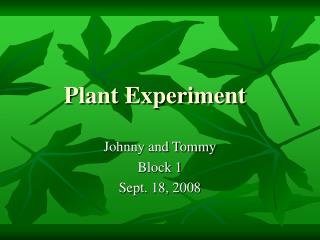 Plant Experiment