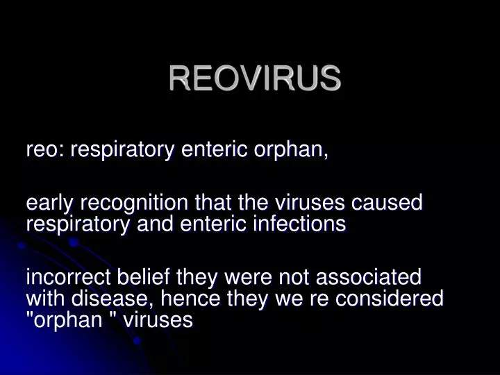 reovirus