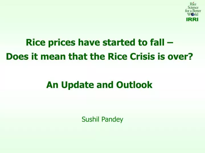 rice prices have started to fall does it mean that the rice crisis is over an update and outlook