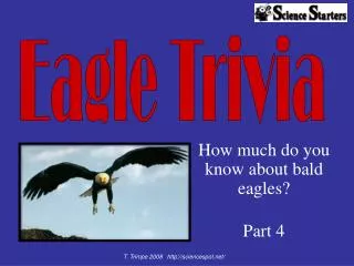 How much do you know about bald eagles? Part 4