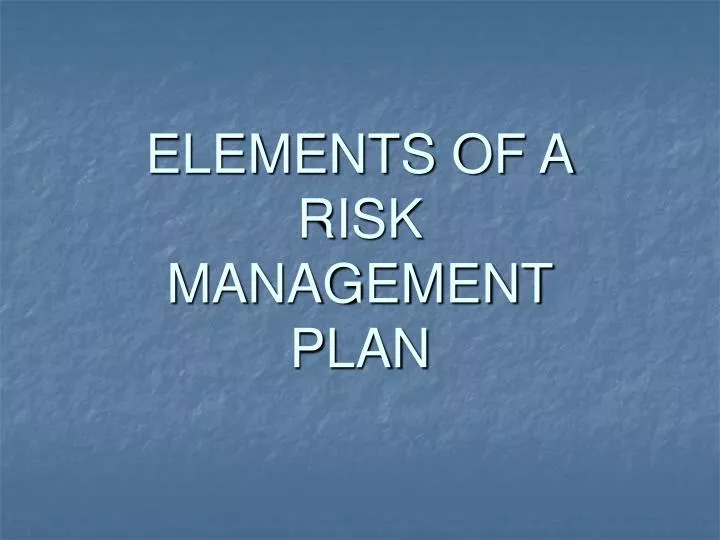 elements of a risk management plan