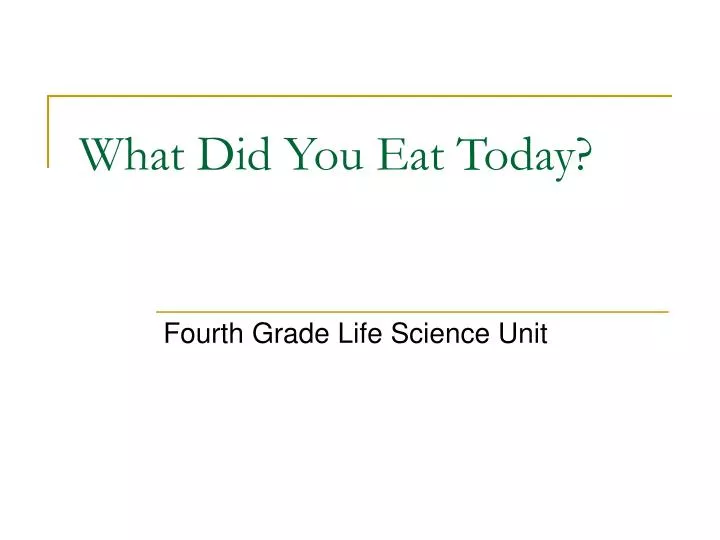 what did you eat today