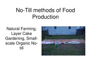 No-Till methods of Food Production
