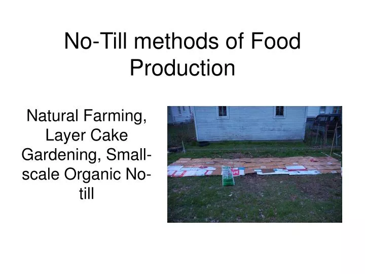 no till methods of food production