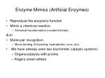 Enzyme Mimics (Artificial Enzymes)