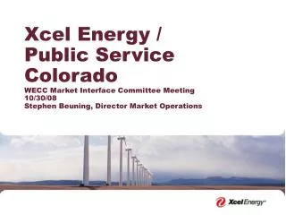 Xcel Energy / Public Service Colorado WECC Market Interface Committee Meeting 10/30/08 Stephen Beuning, Director Market
