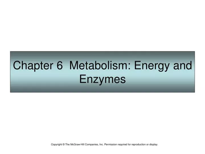 chapter 6 metabolism energy and enzymes