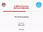 C-MEX S-Function MATLAB SIMULINK