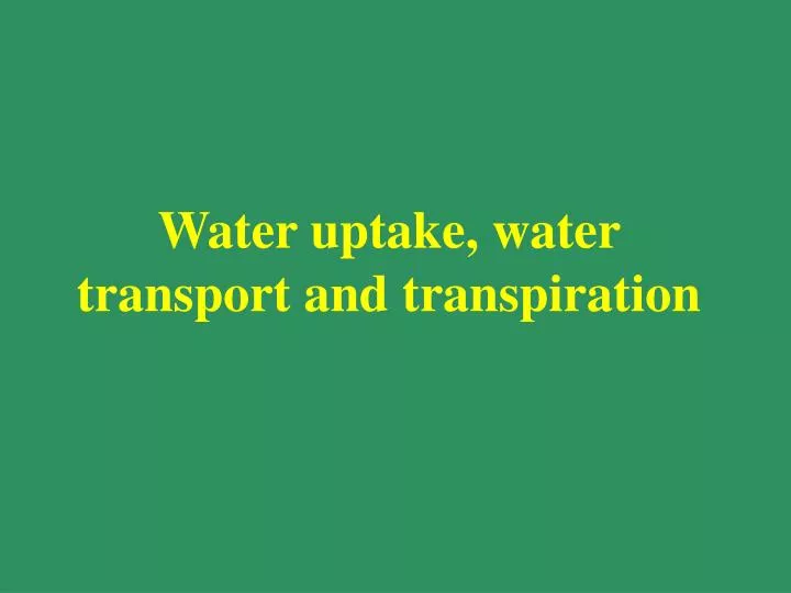 water uptake water transport and transpiration