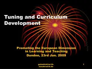 Tuning and Curriculum Development