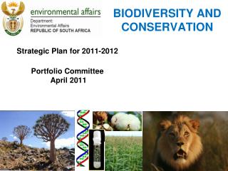 Biodiversity and conservation