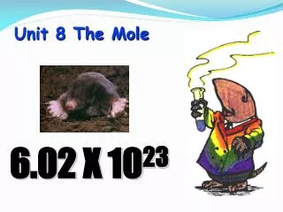 Unit 8 The Mole