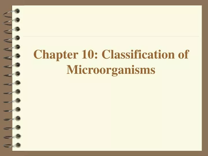 chapter 10 classification of microorganisms